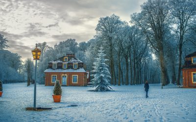 Préparation pour l’hiver : conseils d’entreposage pour mettre de l’ordre à l’extérieur